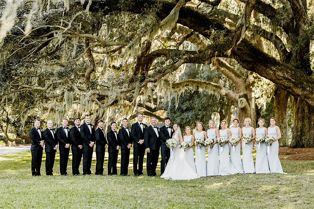 Wedding party under southern oak trees