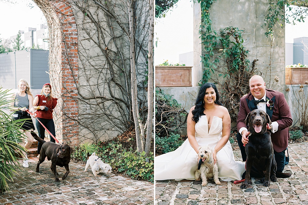 Bride and groom with their dogs at Summerour Studio wedding